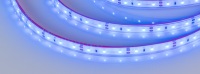 СВЕТОДИОДНАЯ ЛЕНТА RTW 2-5000PGS 12V BLUE (3528, 300 LED, LUX) (ARLIGHT, 4.8 ВТ/М, IP67) 60 LED НА 1М